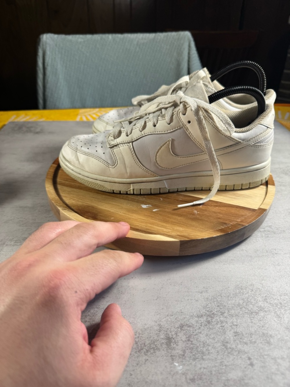 Nike Dunk Low Next Nature Sail Move to Zero- Sail Size 9